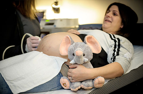 Stuffed animal